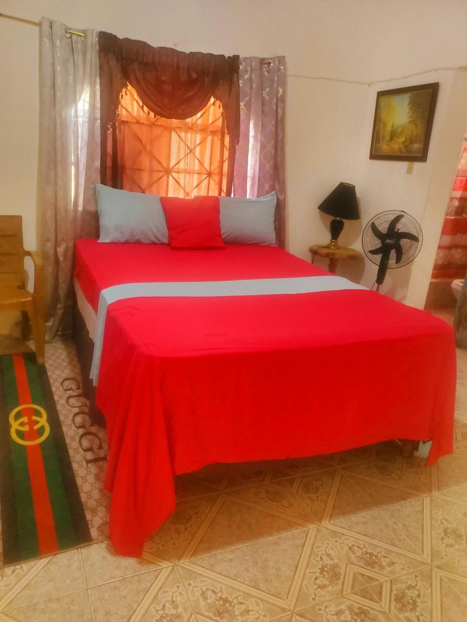 Fay Guest House Negril Rum bild